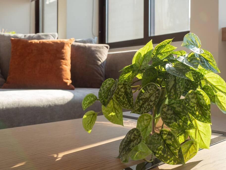 Athinais Luxury Studio 2 Athens Ngoại thất bức ảnh